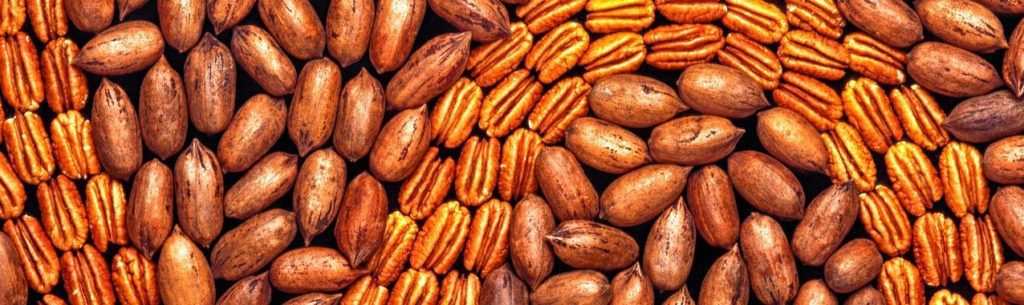 national pecan month more reasons to love pecans