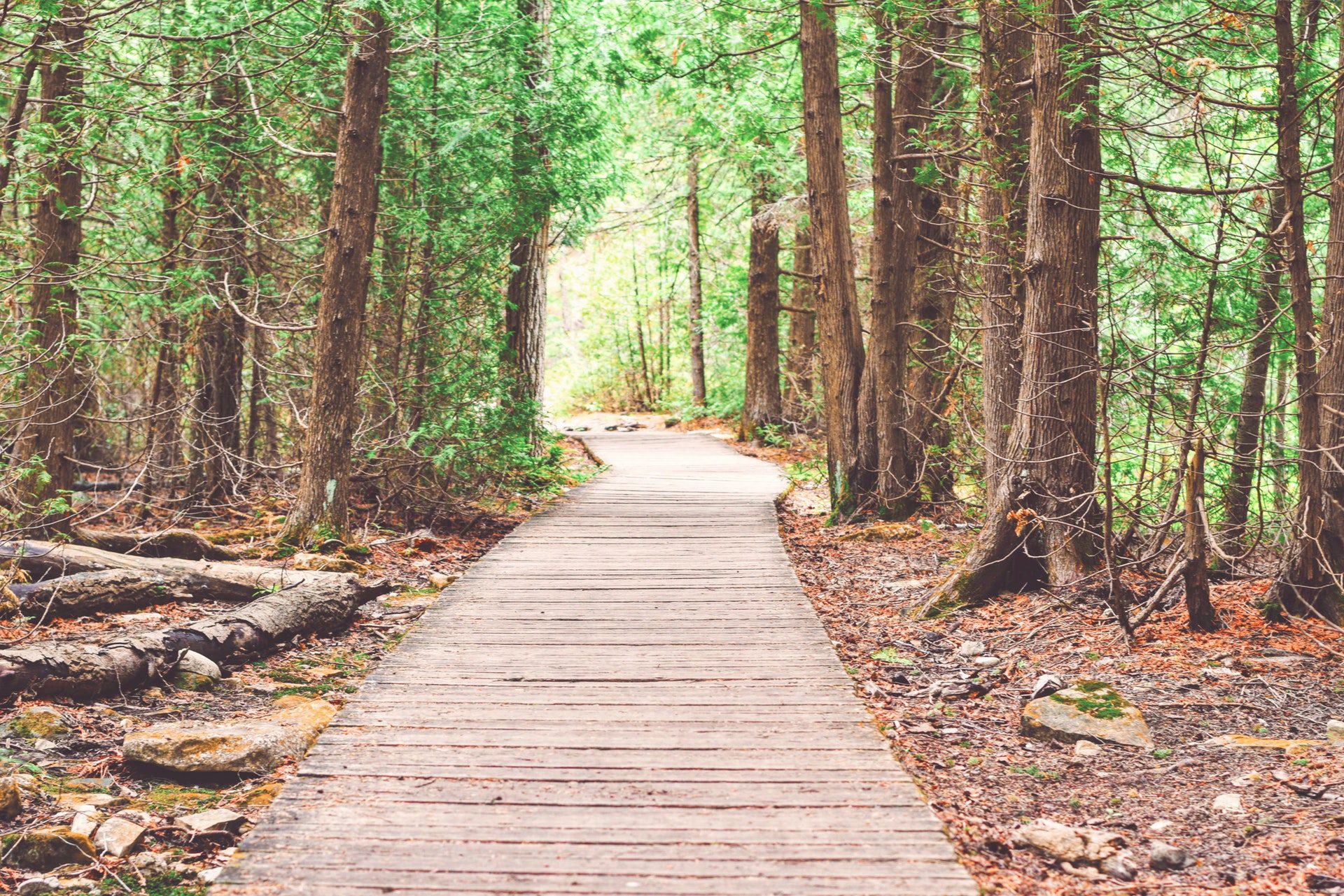 [Tim Gouw ] © pexels.com