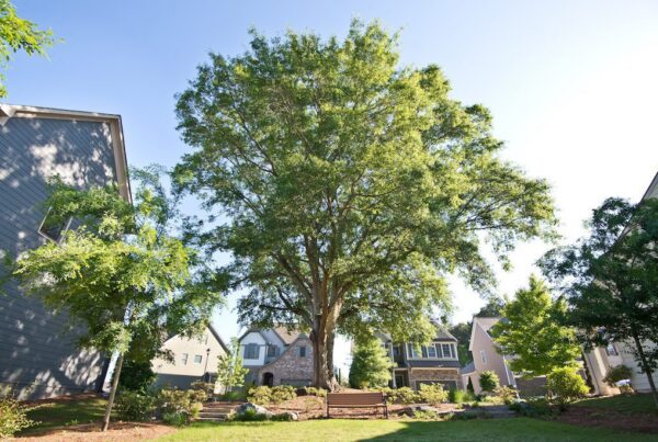 See and explore our Oakhurst quick move-in homes in Woodstock GA
