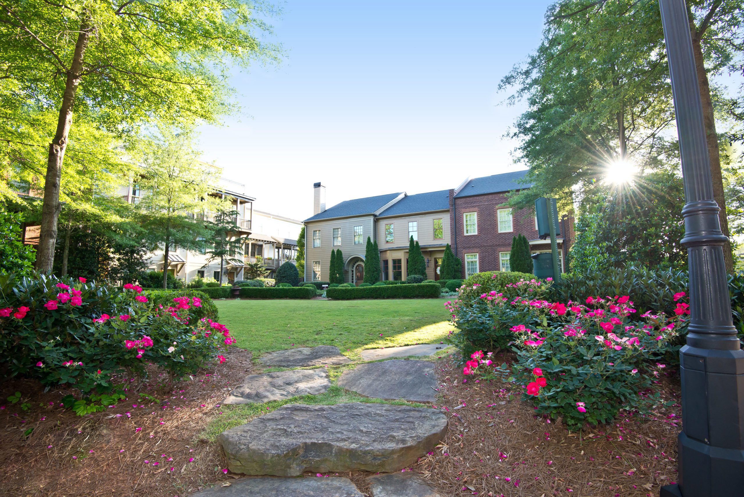 Bright Spring Blooms at Mangêt