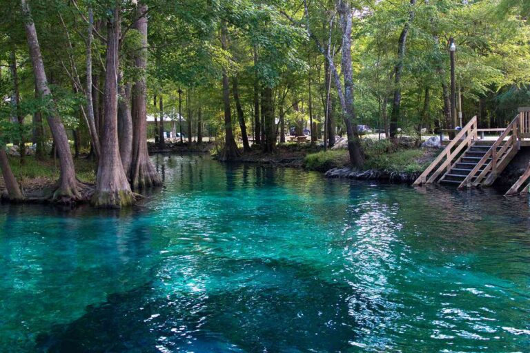 Spring Brock Beautiful Florida Panhandle Springs Worth Visiting - Brock Built